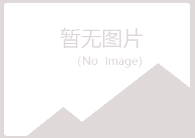 麻山区夏日能源有限公司